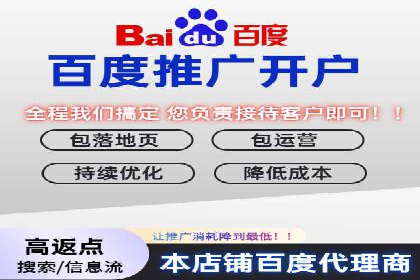 百度竞价代理的投放技巧与效果评估案例